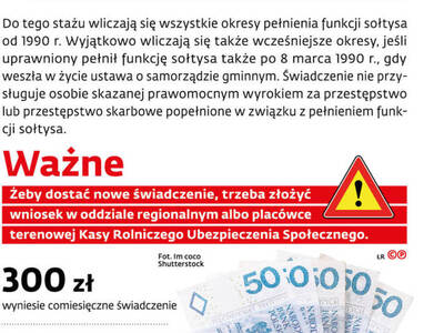 Grafika