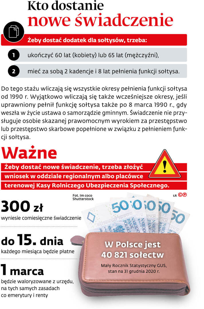 Grafika