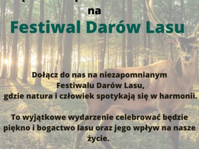 Plakat festiwalu.