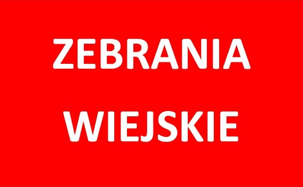 grafika