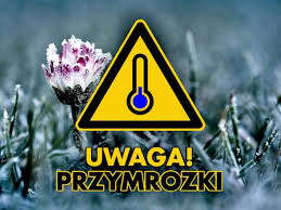 grafika