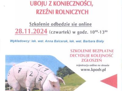 plakat o szkoleniu