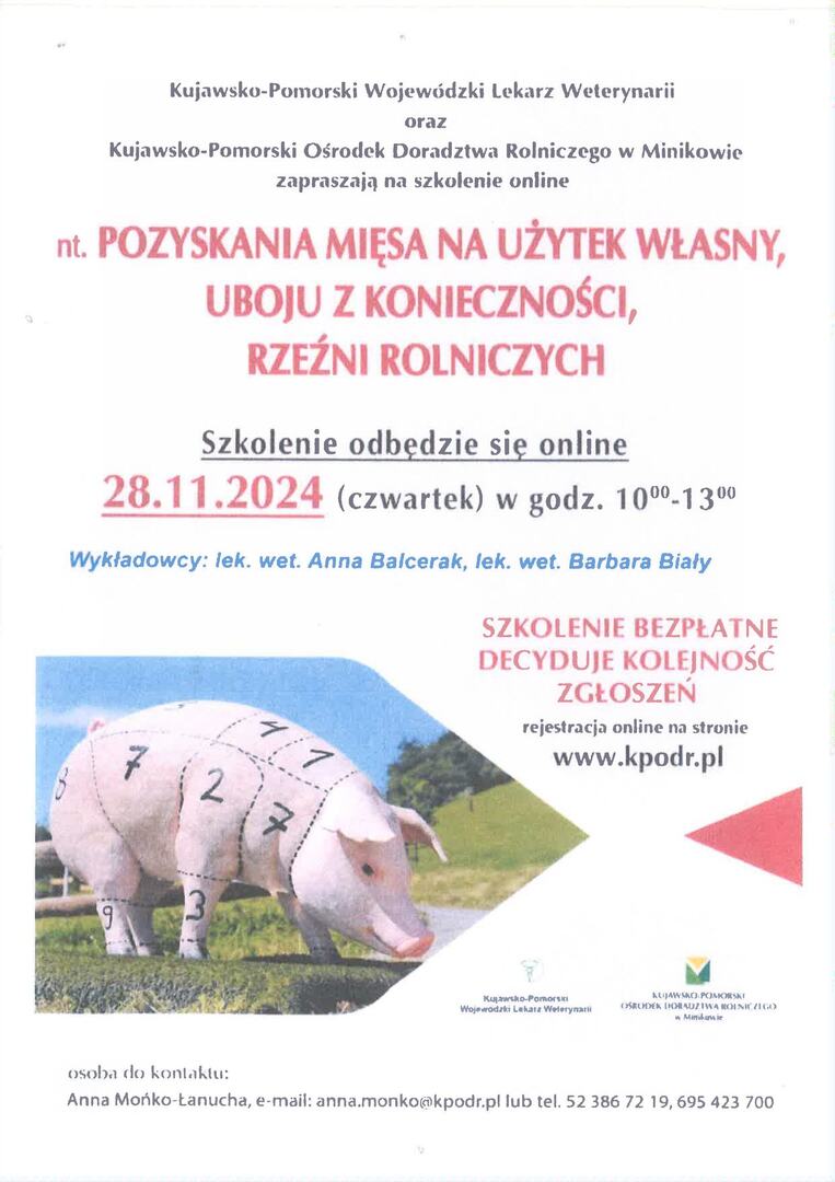 plakat o szkoleniu