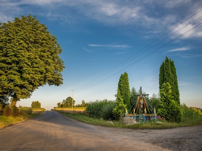 Przy drodze Makówiec - Chodorążek, Fot. E. Jaszewska