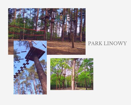 park linowy [500x400]