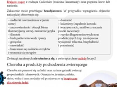 Ulotka