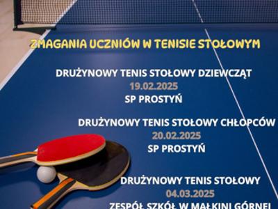 GRAFIKA TENIS STOŁOWY