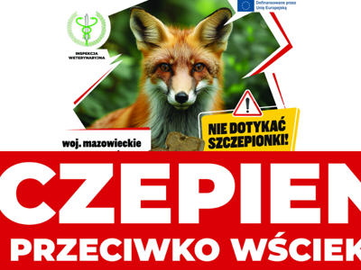 szczepienie lisów grafika