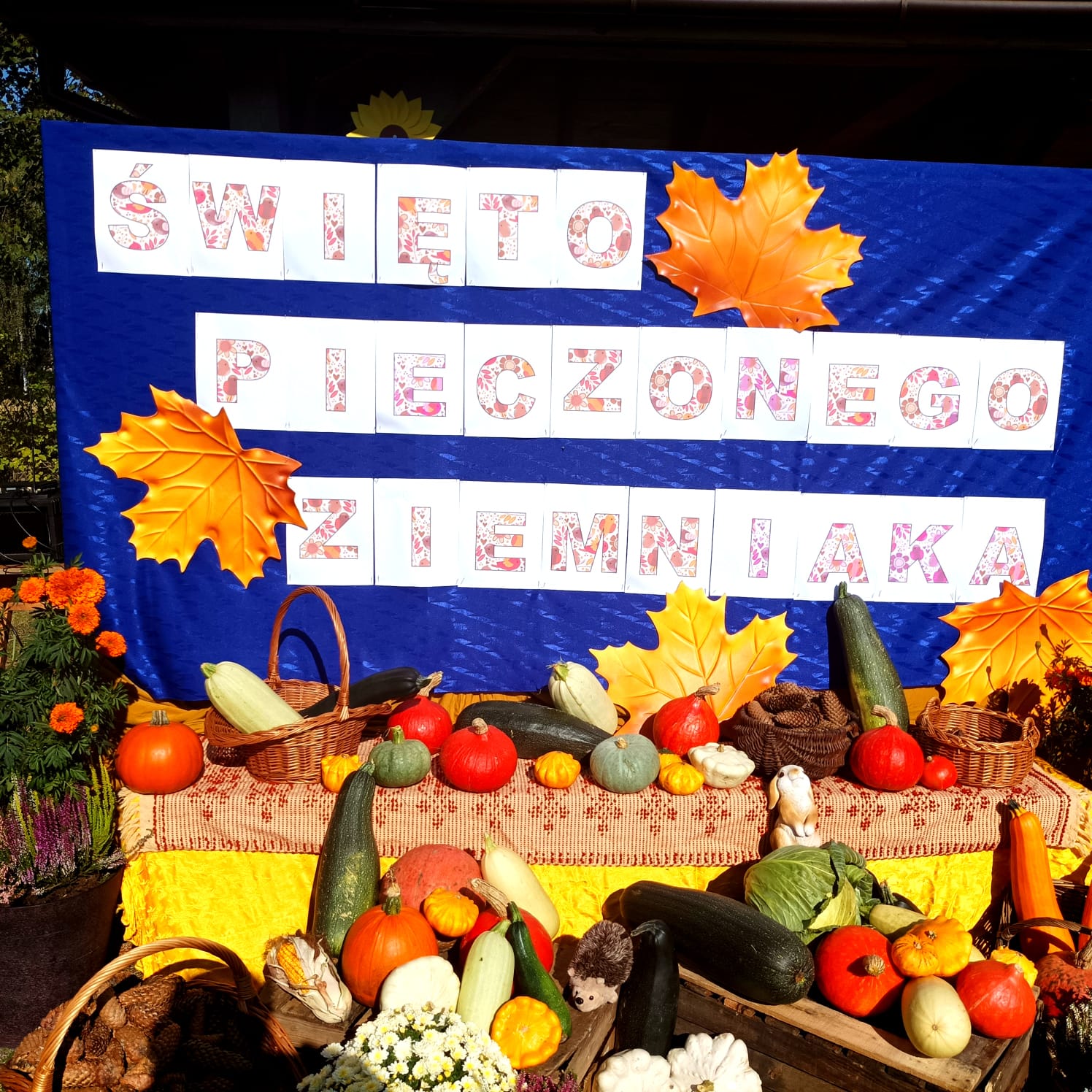 Święto pieczonego ziemniaka