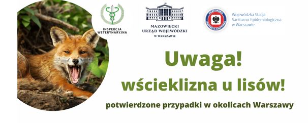 Uwaga wścieklizna u lisów 