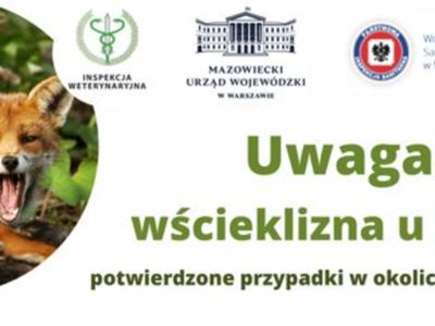 Uwaga wścieklizna u lisów