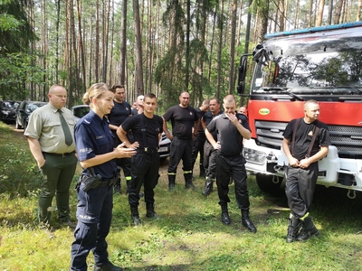 rozmowy o bezpiecznym zachowaniu w lesie