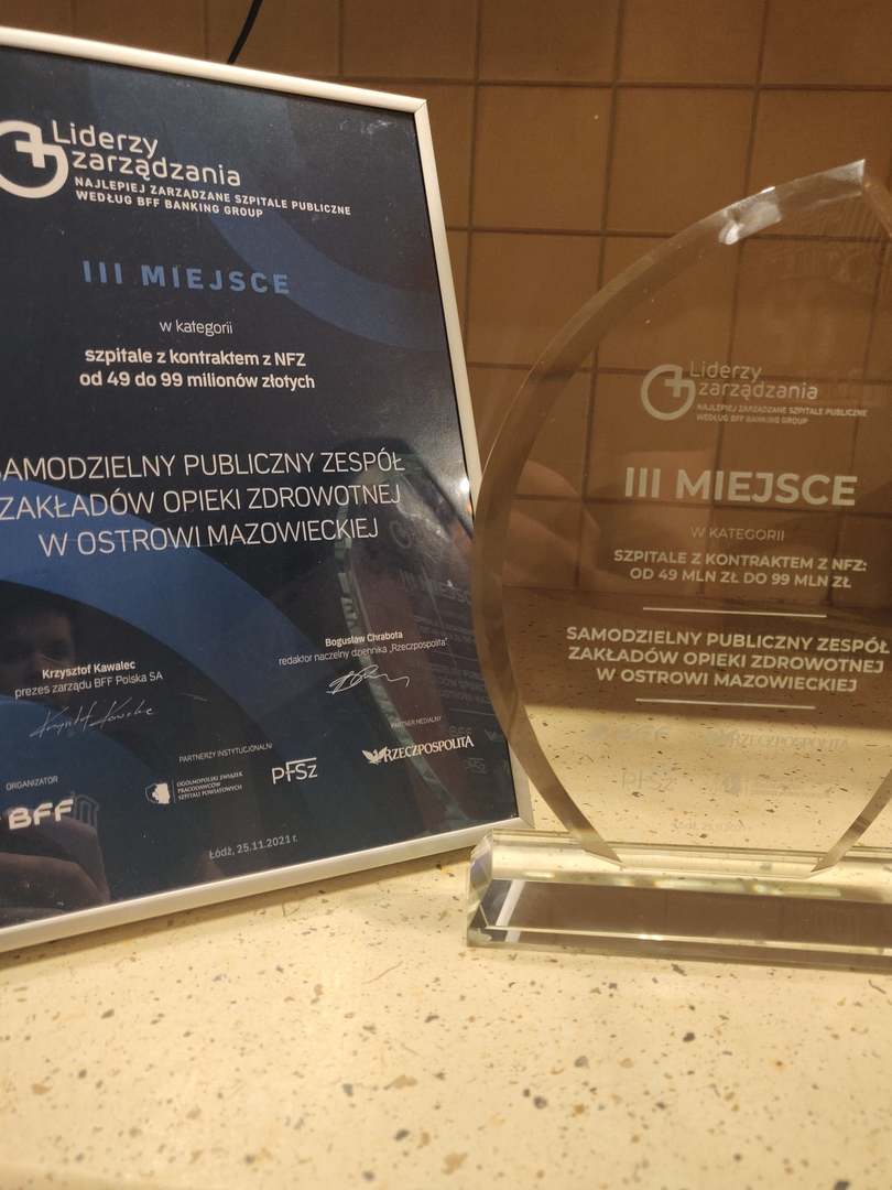 statuetka za zajęcie III miejsca w rankingu
