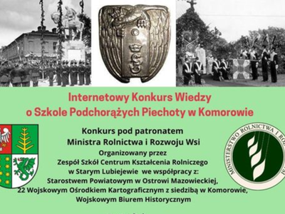 Ulotka informacyjna_ konkurs internetowy