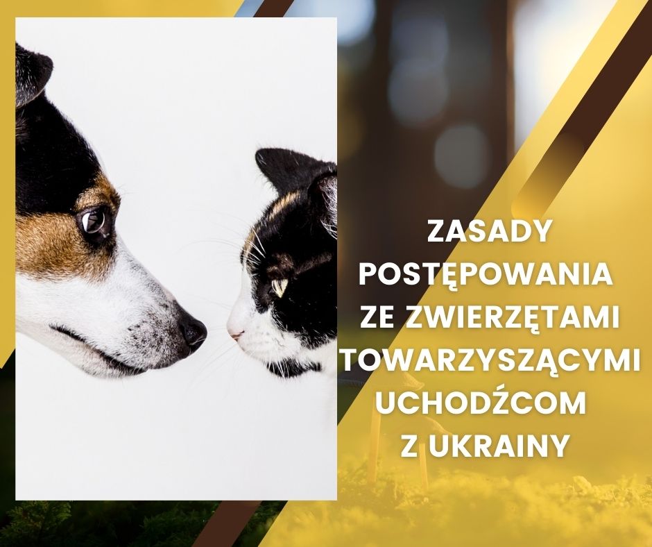 zasady postępowania 
