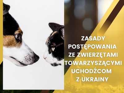 zasady postępowania