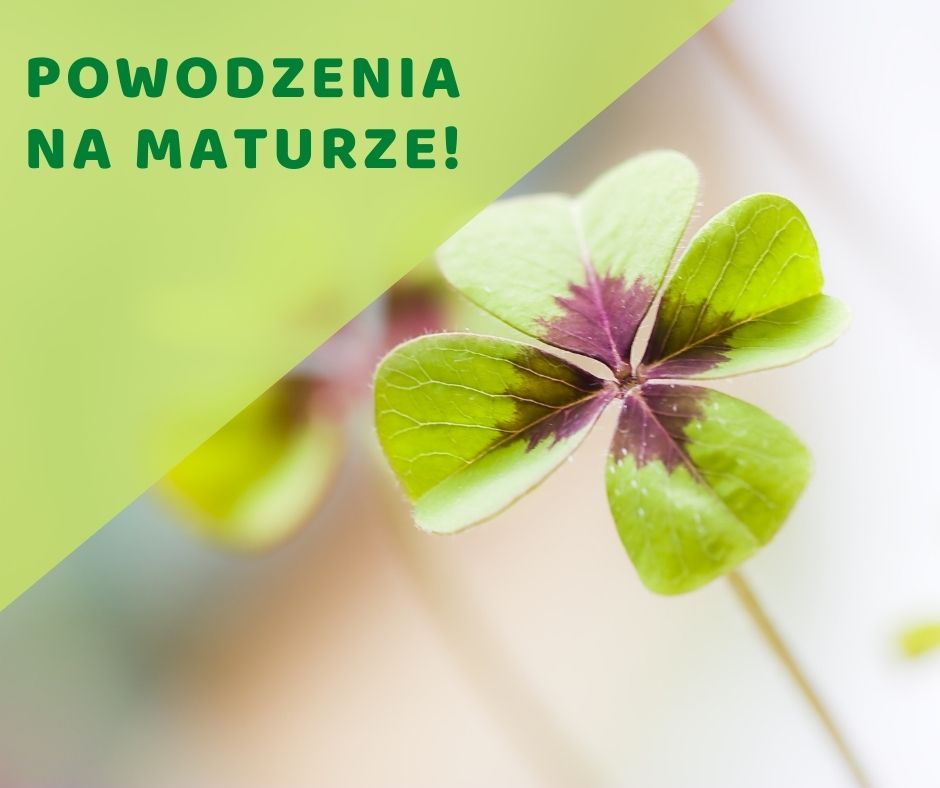 kończynka na szczęście , powodzenia na maturze