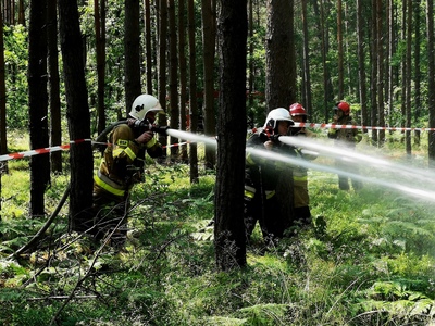 strażacy podczas akcji