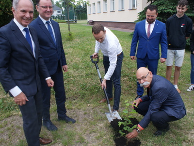 Akcja Trees For Europe na Mazowszu