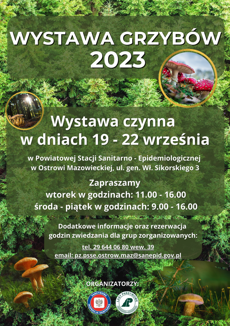 PLAKAT