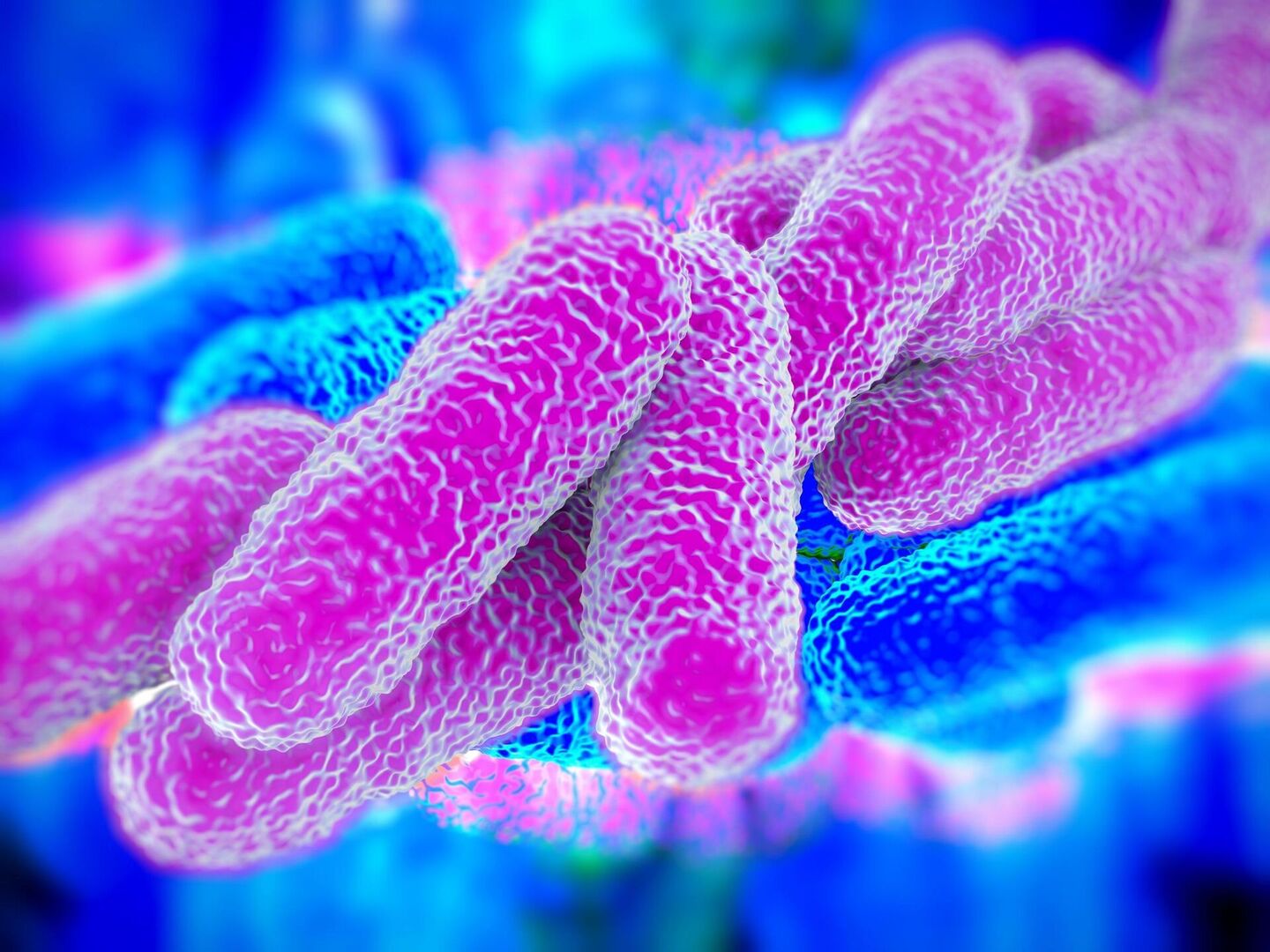 Bakteria Legionella 