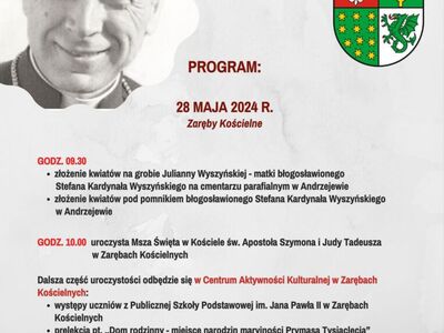 program obchodów Dnia Patrona
