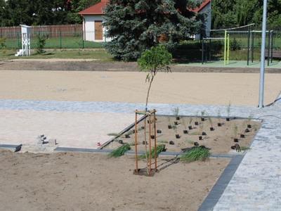 teren przy ZS nr 2
