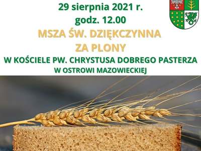 Msza Św. dziękczynna za plony