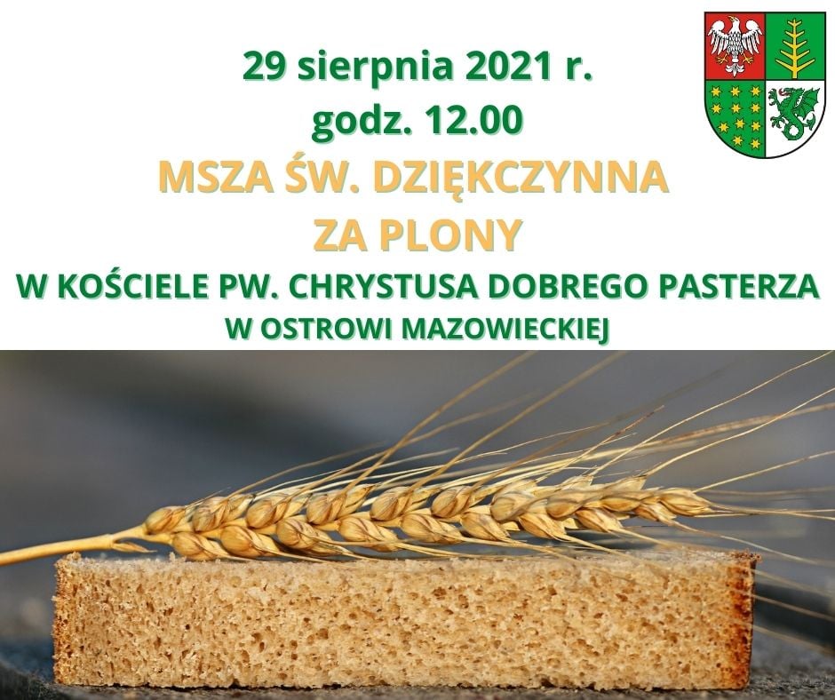Msza Św. dziękczynna za plony