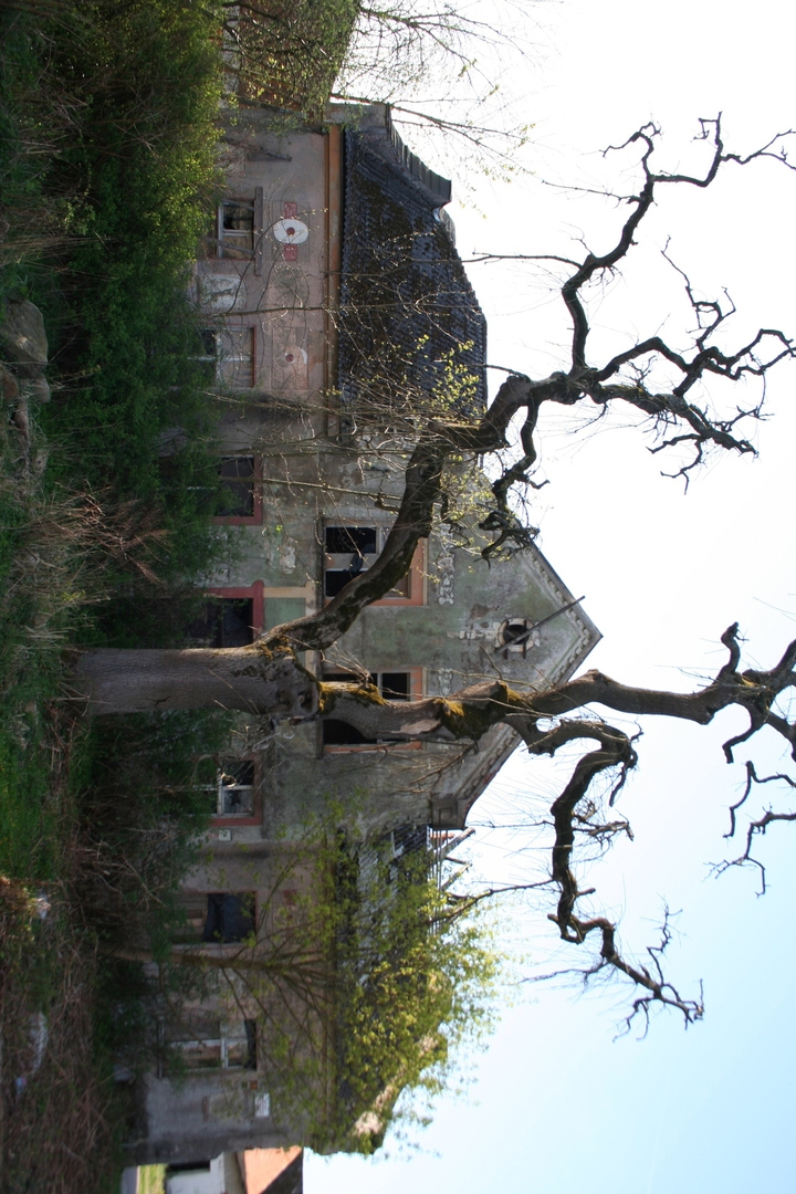 Dworek na Wyspie w Karlinie.
