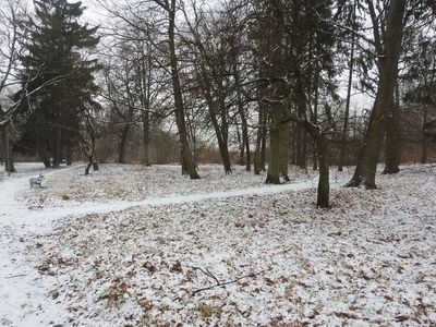 Zdjęcie parku przy ul Waryńskiego w Karlinie [400x300]