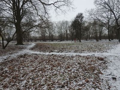 Zdjęcie parku przy ul Waryńskiego w Karlinie [400x300]