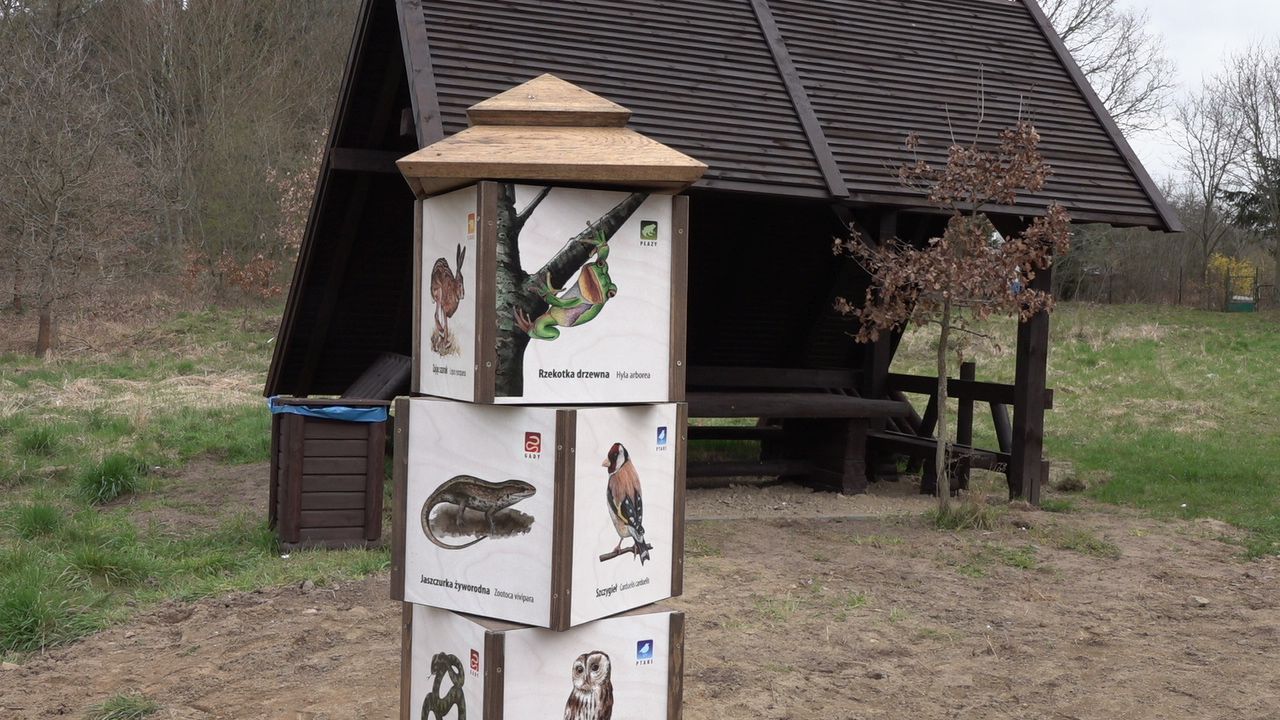 słup informacyjny o zwierzętach
