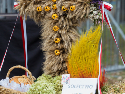 Dożynki Gminy Ostrów Mazowiecka 2021