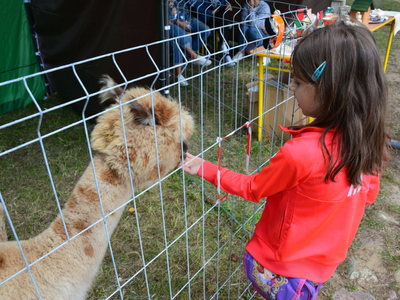Dożynki Gminy Ostrów Mazowiecka 2021