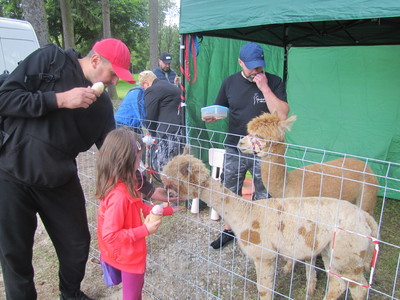 Dożynki Gminy Ostrów Mazowiecka 2021