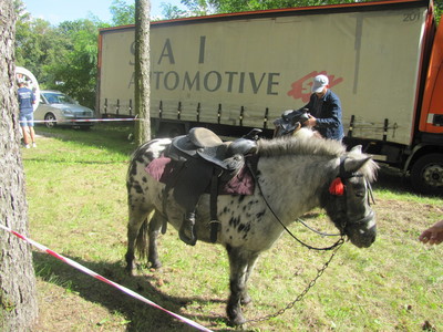Dożynki Gminy Ostrów Mazowiecka 2021