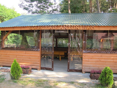 MIAS Mazowsze