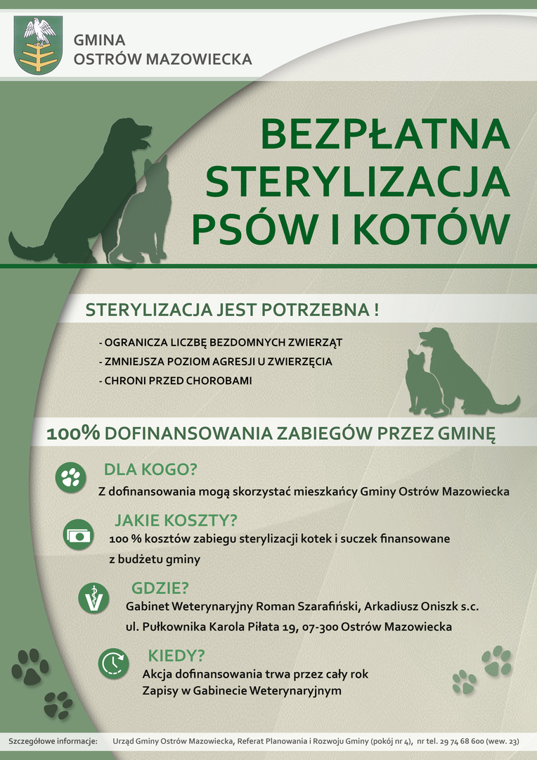 Bezpłatna sterylizacja psów i kotów