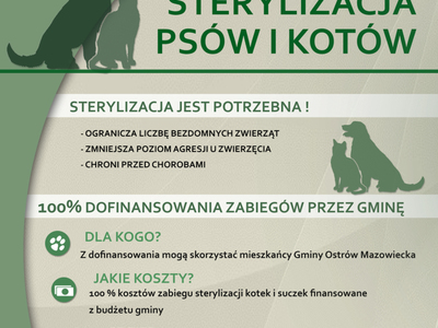 Bezpłatna sterylizacja psów i kotów