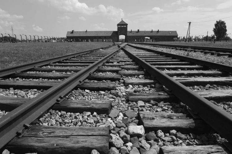Międzynarodowy Dzień Pamięci o Ofiarach Holokaustu - 77. rocznica wyzwolenia Auschwitz