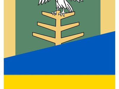 Całodobowy numer telefony - pomoc dla Ukrainy