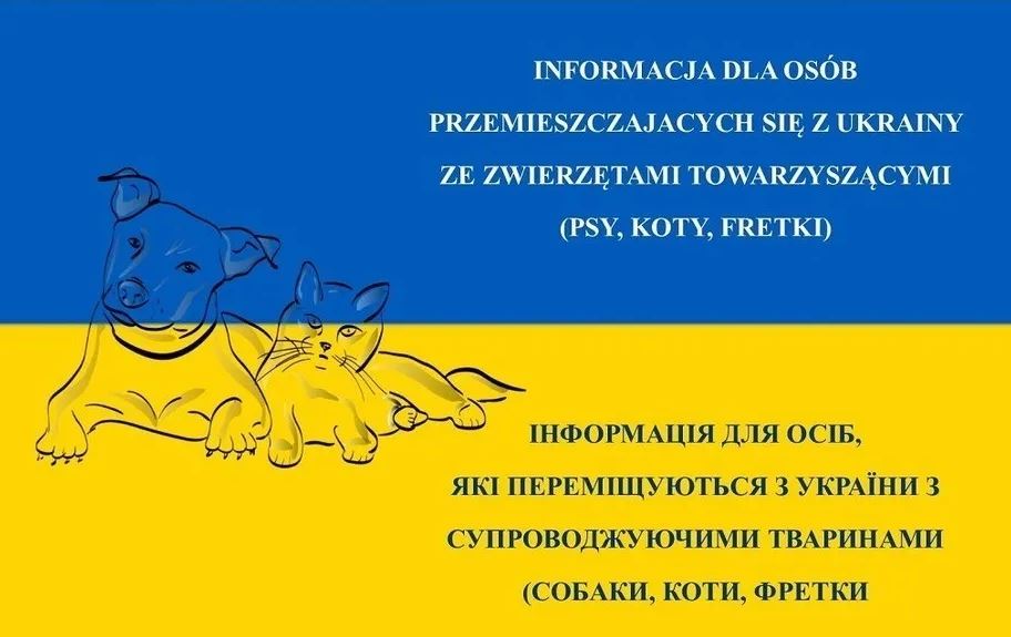 Zwierzęta z Ukrainy
