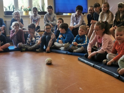 Warsztaty edukacyjne dotyczące zwierząt