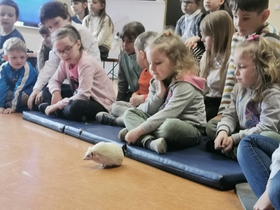 Warsztaty edukacyjne dotyczące zwierząt