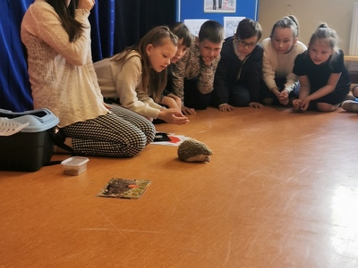 Warsztaty edukacyjne dotyczące zwierząt