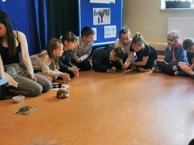 Warsztaty edukacyjne dotyczące zwierząt