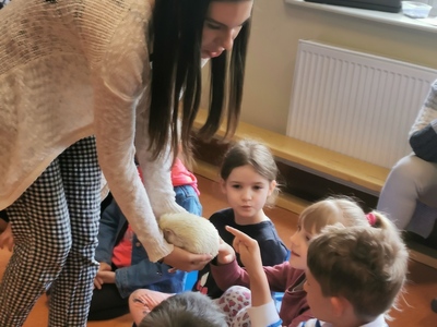 Warsztaty edukacyjne dotyczące zwierząt