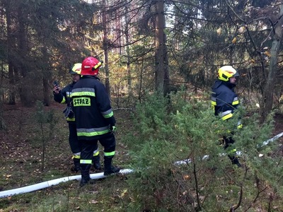 Gminne manewry pożarnicze

 