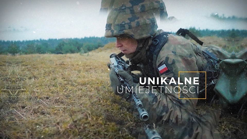 Dobrowolna Zasadnicza Służba Wojskowa